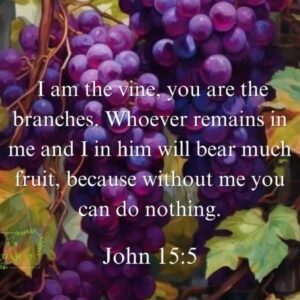 I AM the Vine