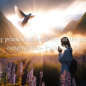 My Praise...
