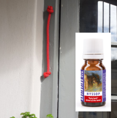 SCARLET CORD + Hyssop Prophetic Anointing Set - Image 3