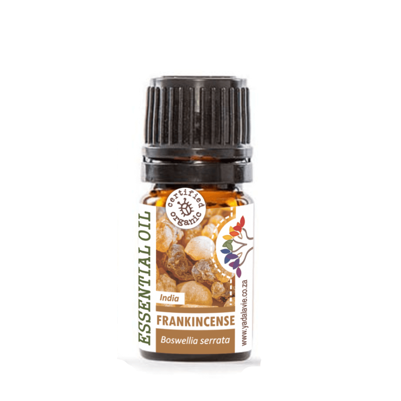 FRANKINCENSE (Serrata) org pure EO