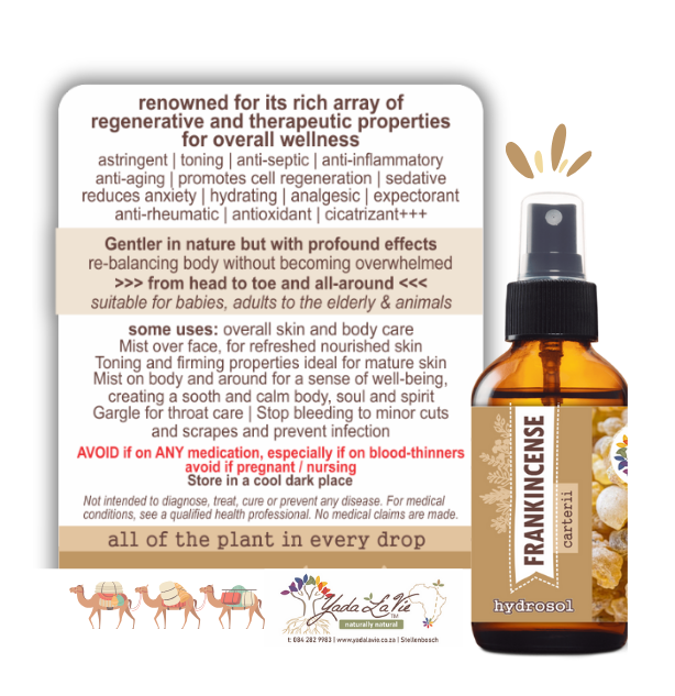 FRANKINCENSE hydrosol - Image 2
