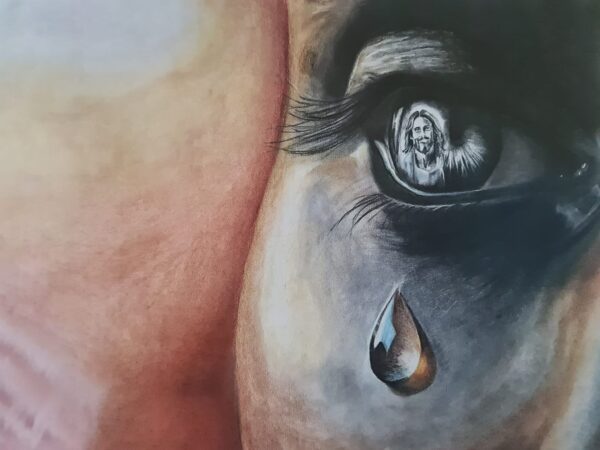 I Reflect