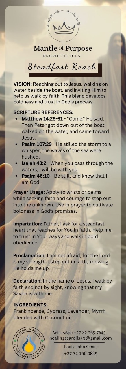 Steadfast Reach - Image 2